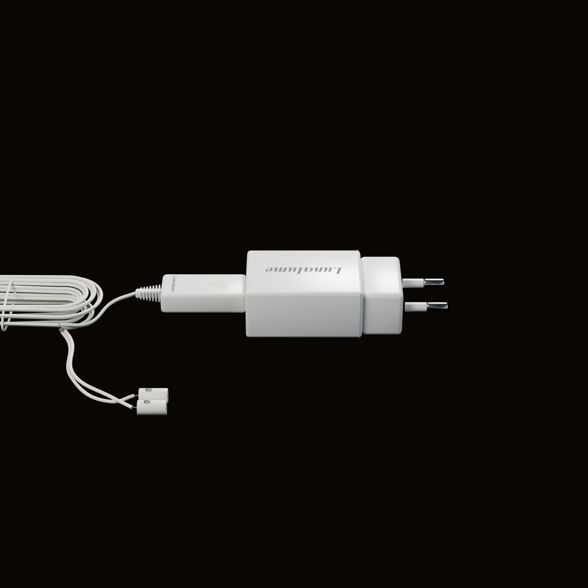 Wandlerkabel mit USB-A-Stecker im Steckernetzteil eingesteckt